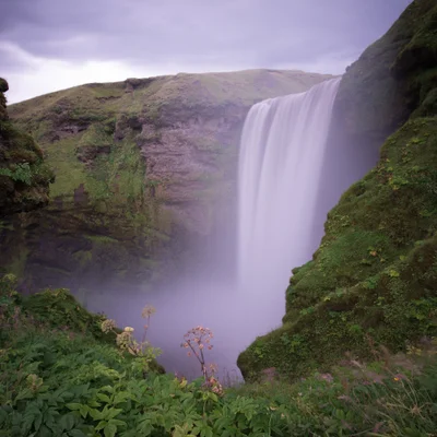 Demo profil fotoğrafı